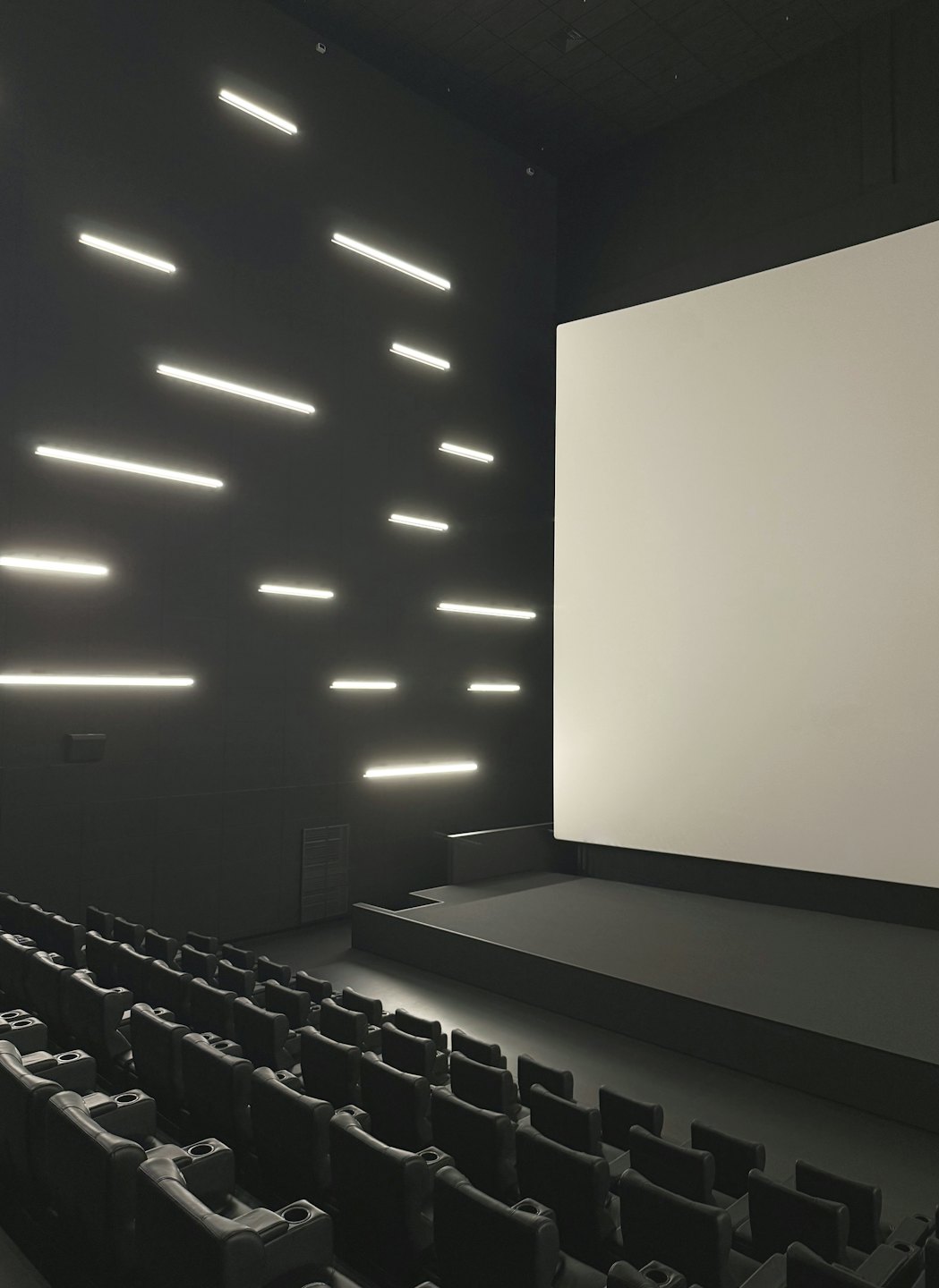 Posti vuoti in un cinema di fronte a un grande schermo bianco.